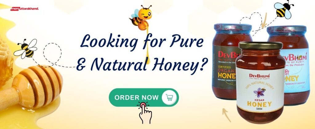 devbhumi honey poster