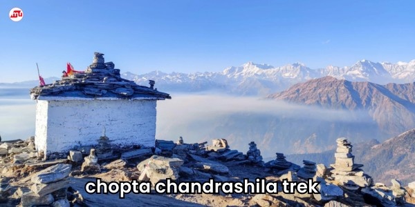 Chopta Chandrashila Trek