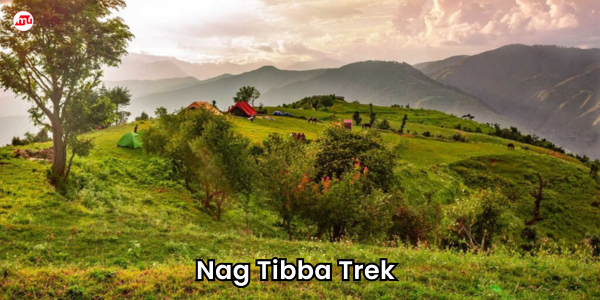 Nag Tibba Trek