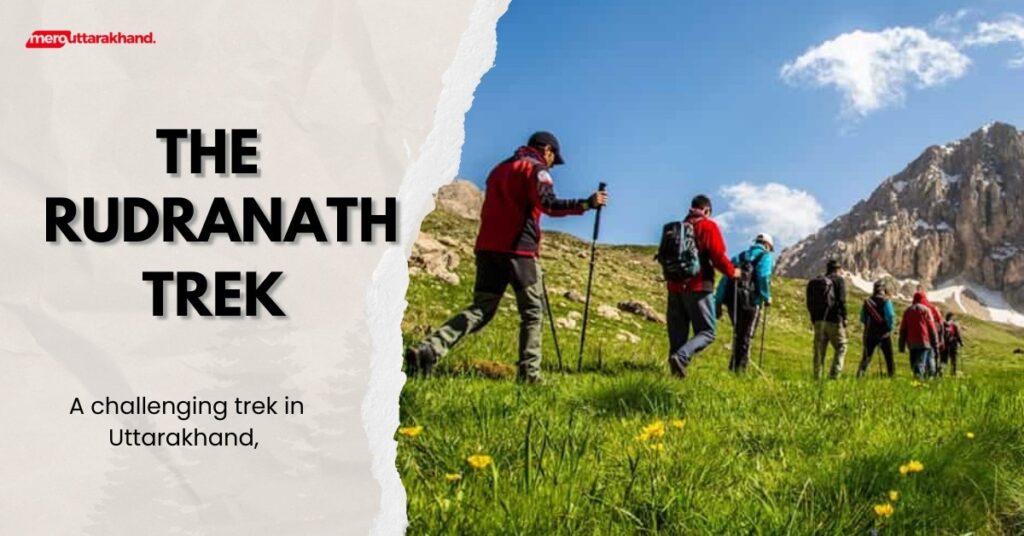 The Rudranath Trek
