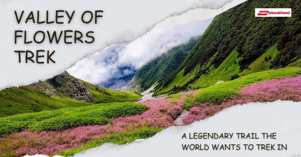 Valley of Flowers Trek