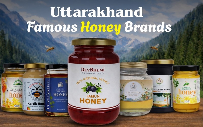 Top Honey Brands in Uttarakhand