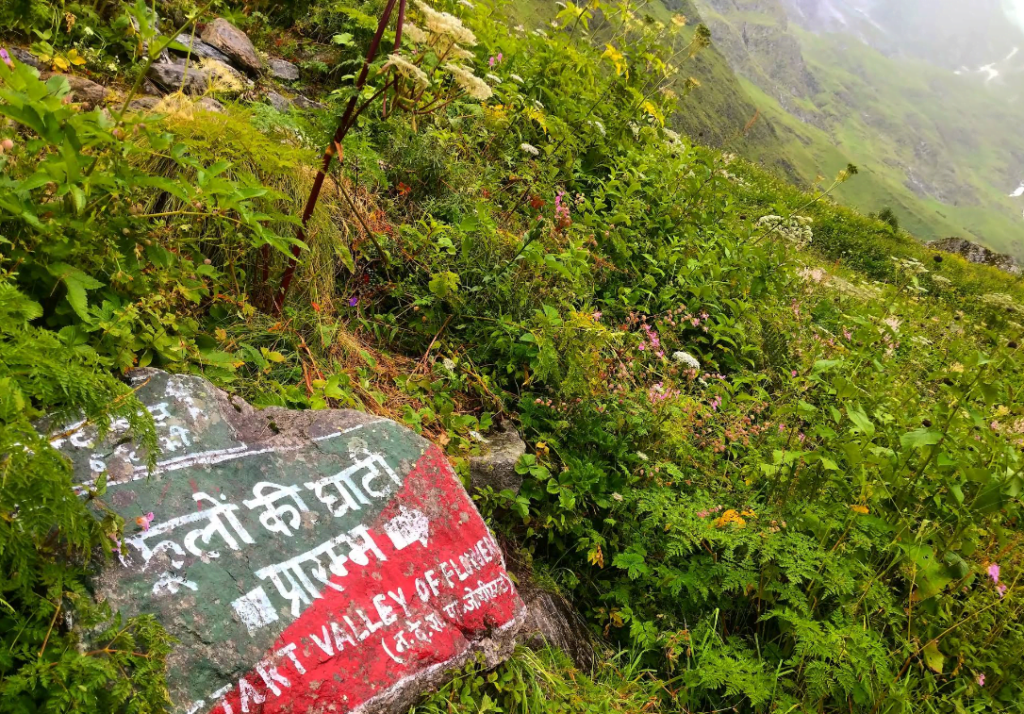 valley of flower trek route